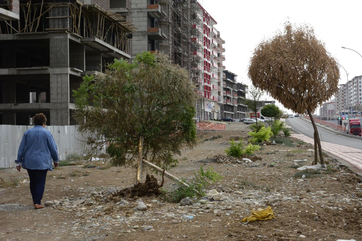 Ağaca Takozlu Destek
