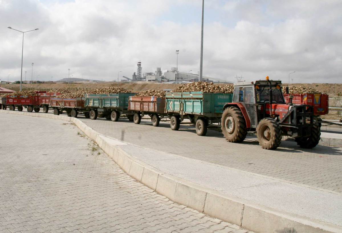 Boğazlıyan Şeker Fabrikasında Üretim Başladı