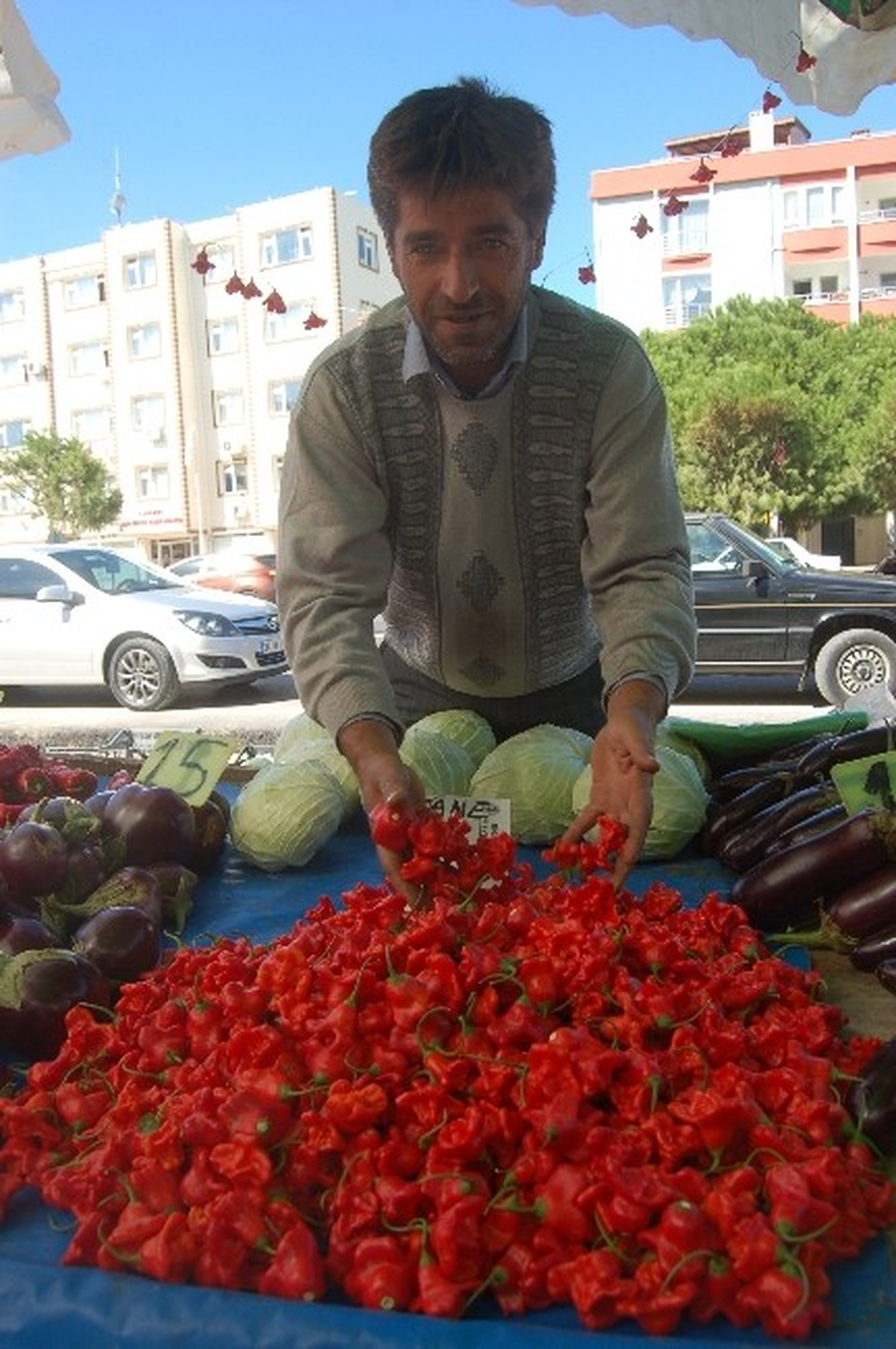 Gül Gibi Biber