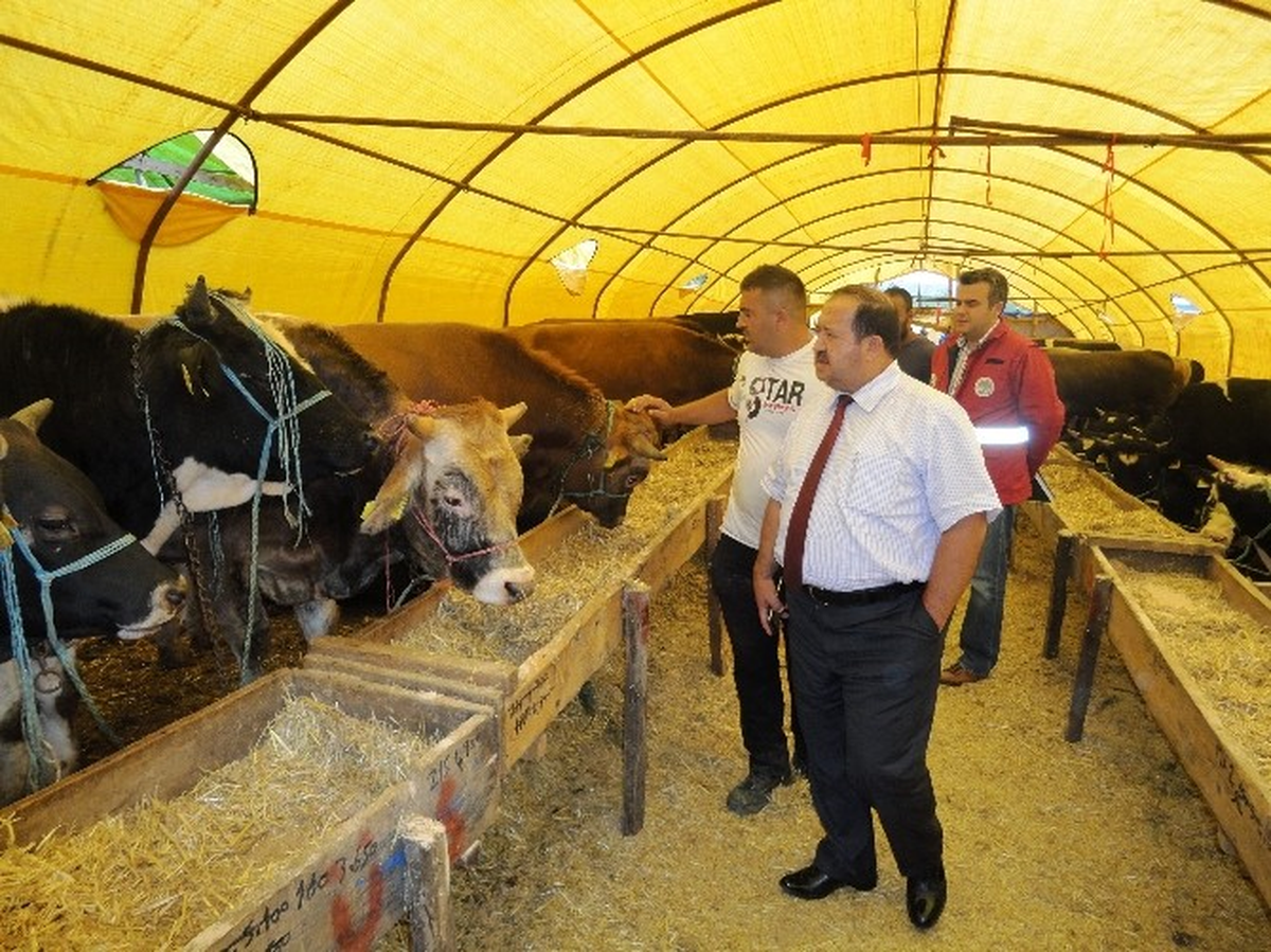 Kurbanlık Hayvan Pazarları Denetlendi
