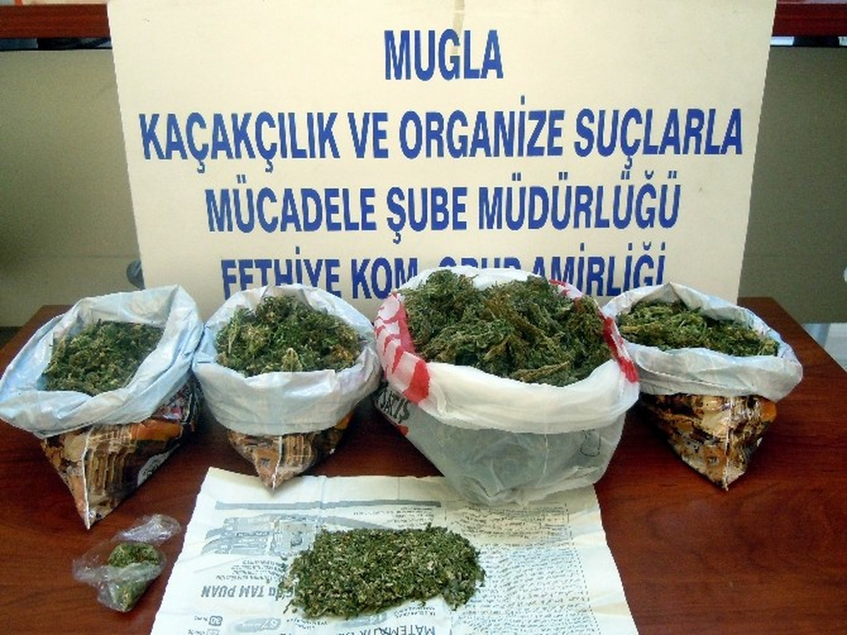 Muğla\'da Uyuşturucu Operasyonları