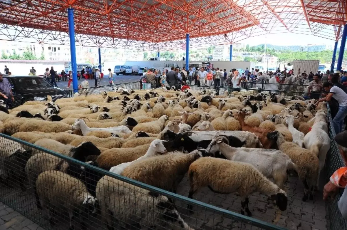 Seferihisar Belediyesi Kurban Bayramında Bir İlke İmza Atacak