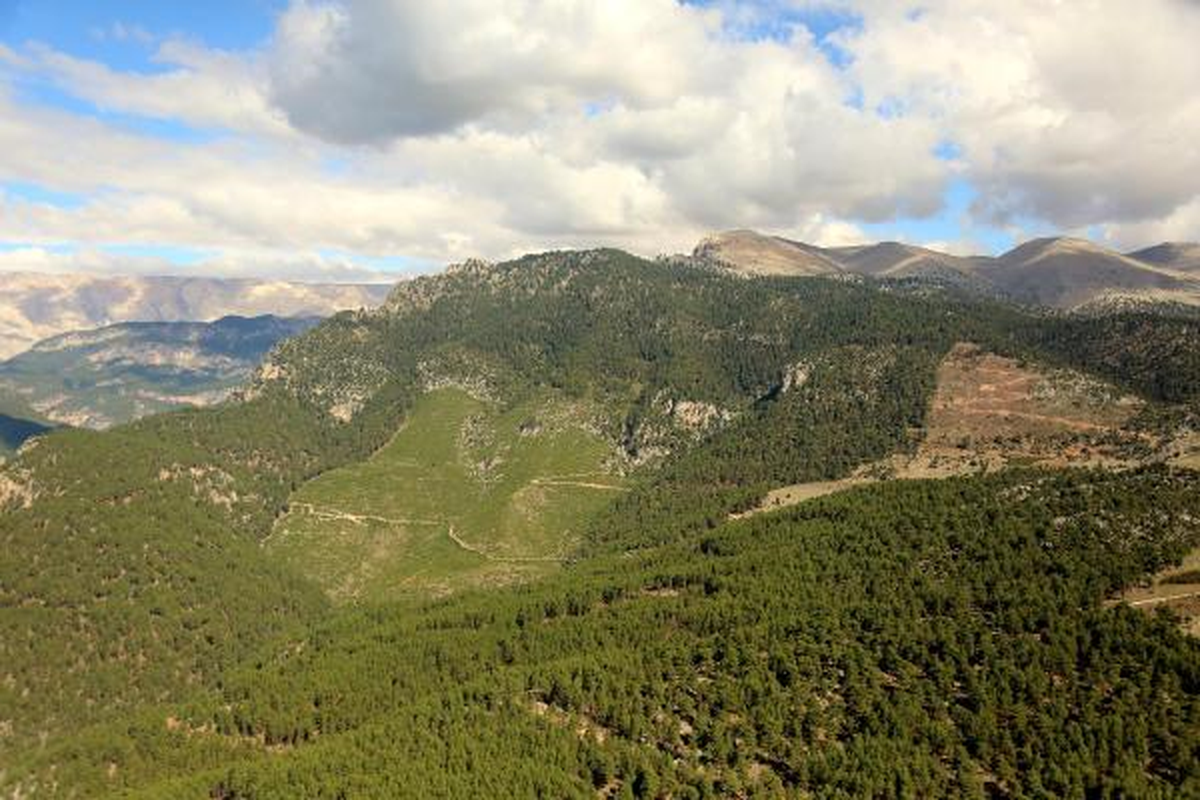 Toroslarda Orman Yangınlarına 2 Dakika Daha Erken Ulaşılıyor