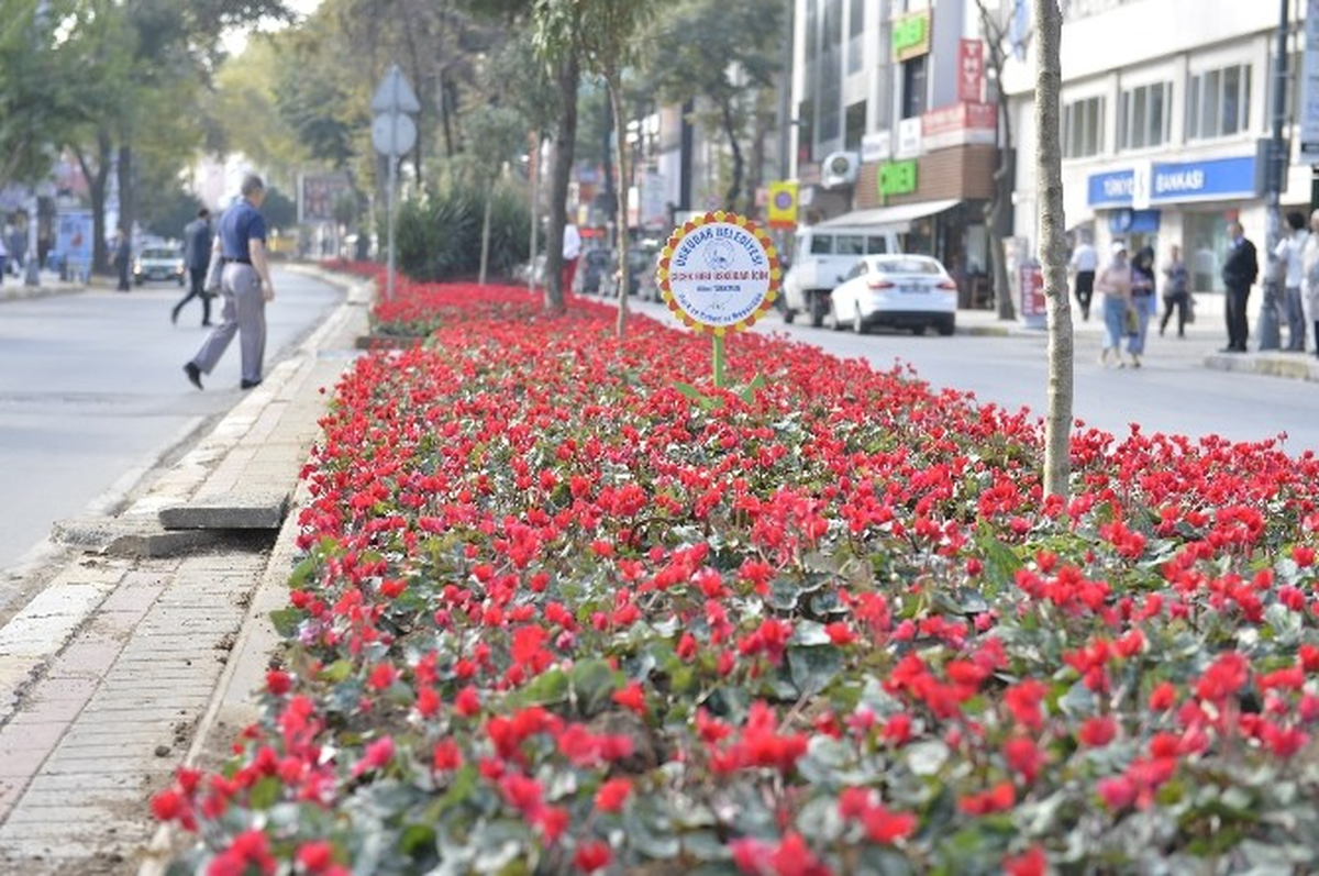 Üsküdar\'ın Caddeleri Çiçek Açtı