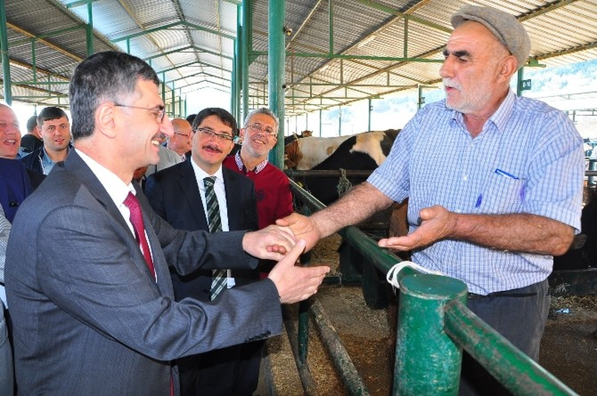 Vali Bektaş Hayvan Borsasını İnceledi