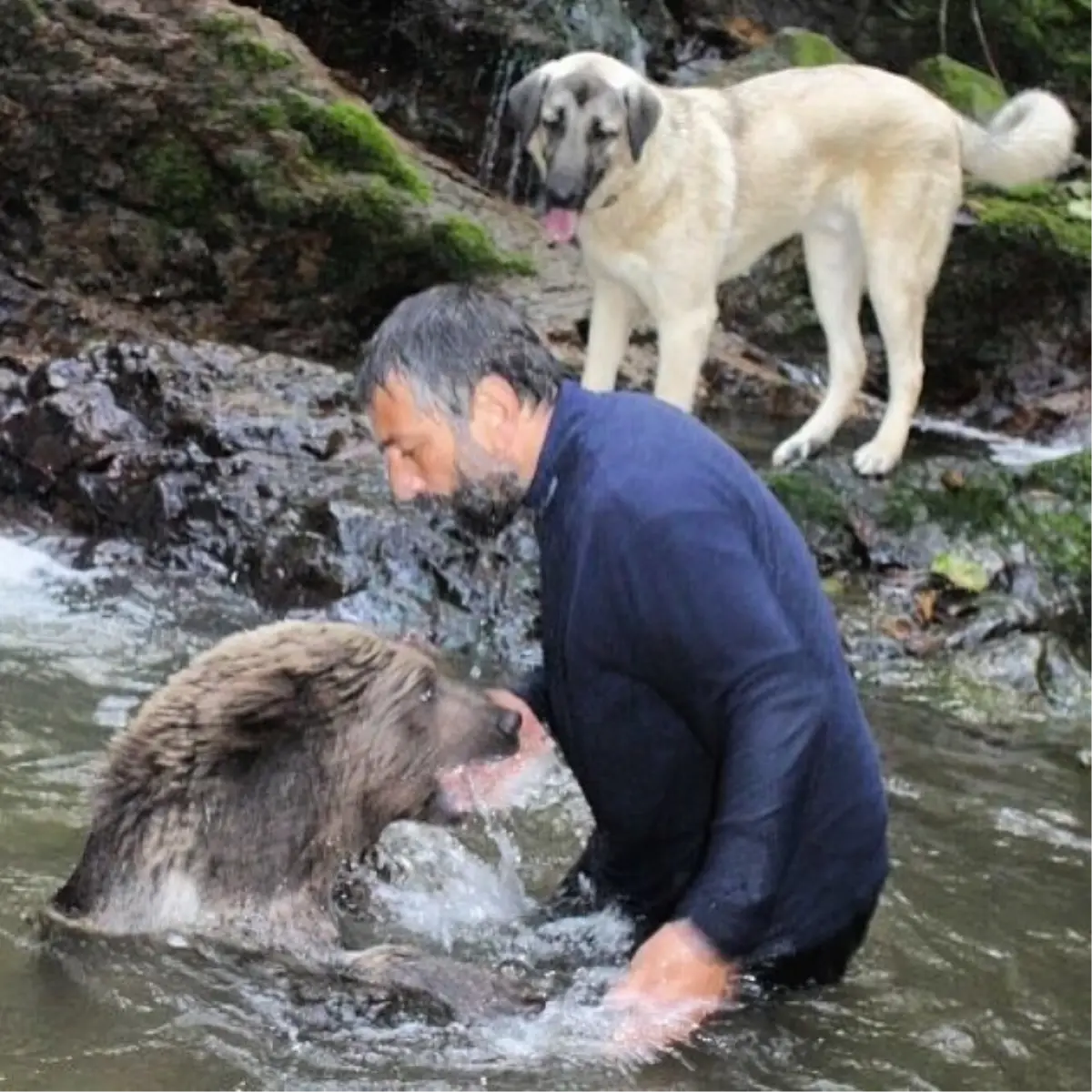 Yabani Hayvanlarla Kurduğu Dostlukla İlgi Çekiyor