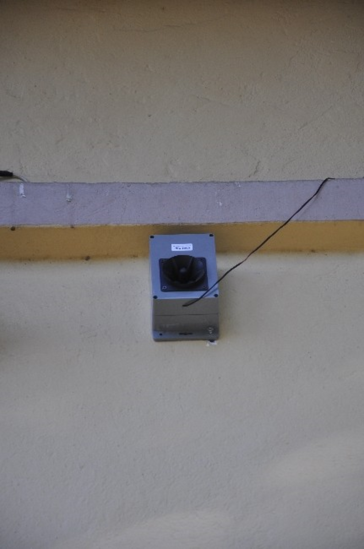 Çareyi Kuş Kovucularda Buldular