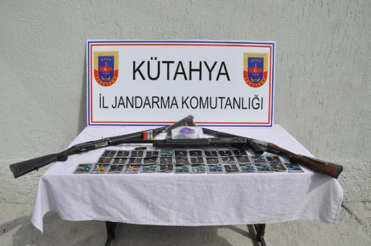 Jandarma, Bonzai ve Ruhsatsız Silah Ele Geçirdi