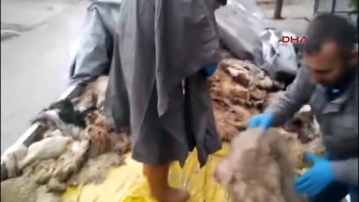 Konya Hayvan Derileri Altında 210 Bin Paket Kaçak Sigara Ele Geçirildi