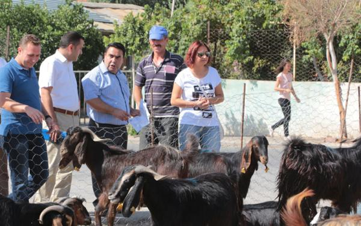 Kurban Bayramı\'na Doğru