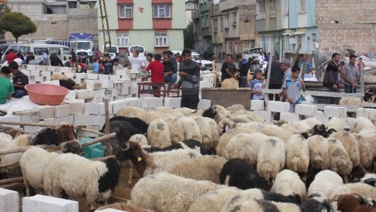 Kurban Bayramı\'na Doğru