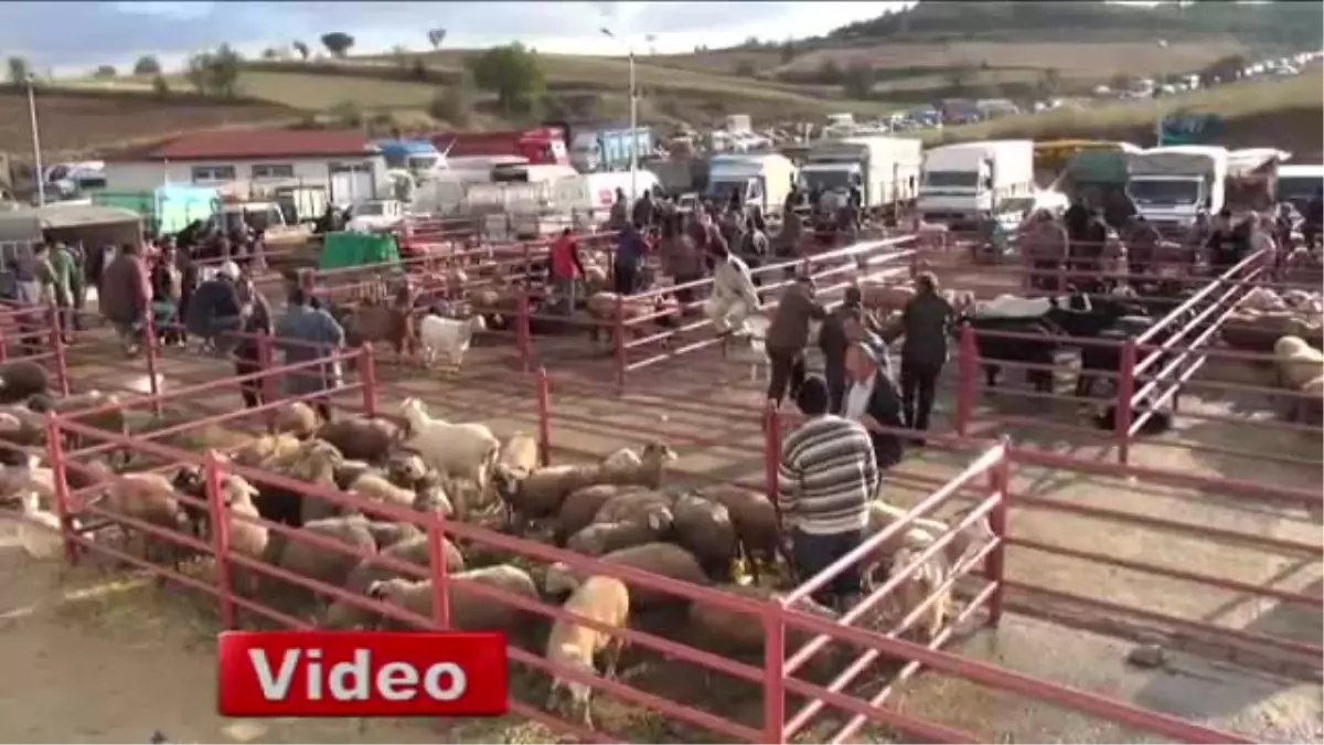 Kurbanlıklarda Alan da Satan da Memnun