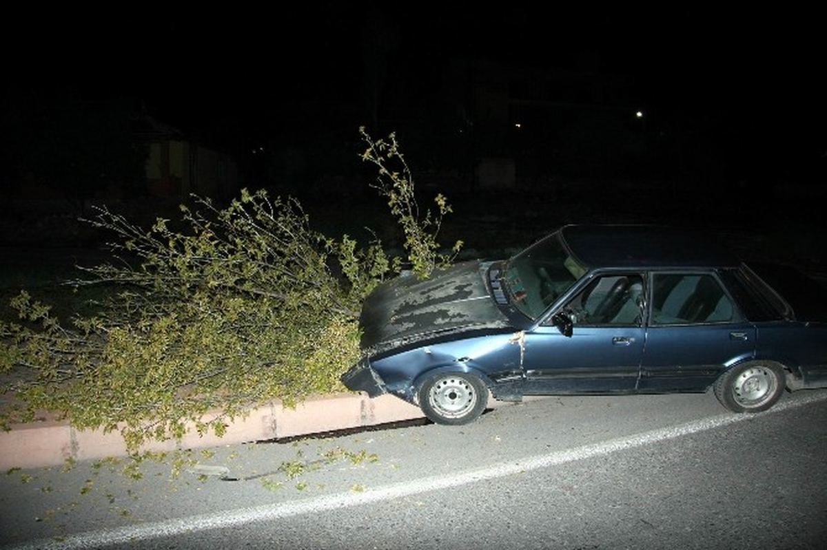 Kayseri'de Otomobil Ağacı Yerinden Söktü