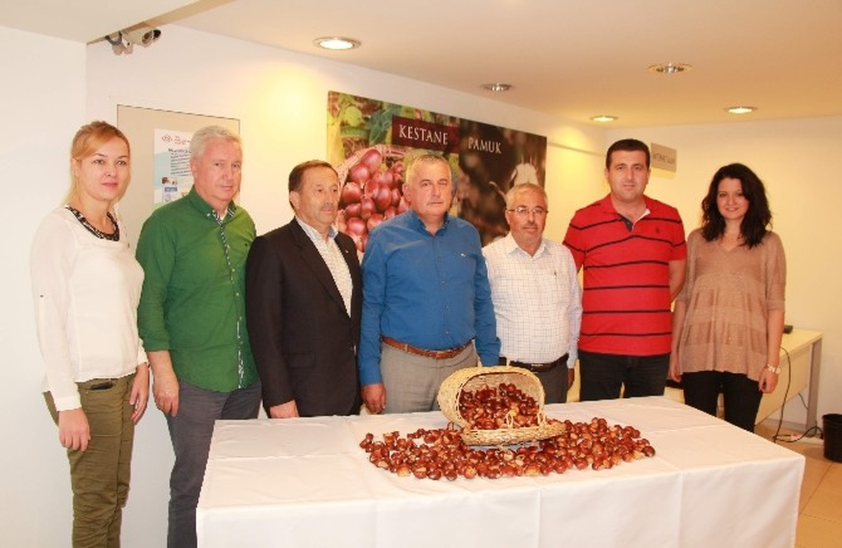 Sezonun İlk Kestanesi Borsaya Teslim Edildi