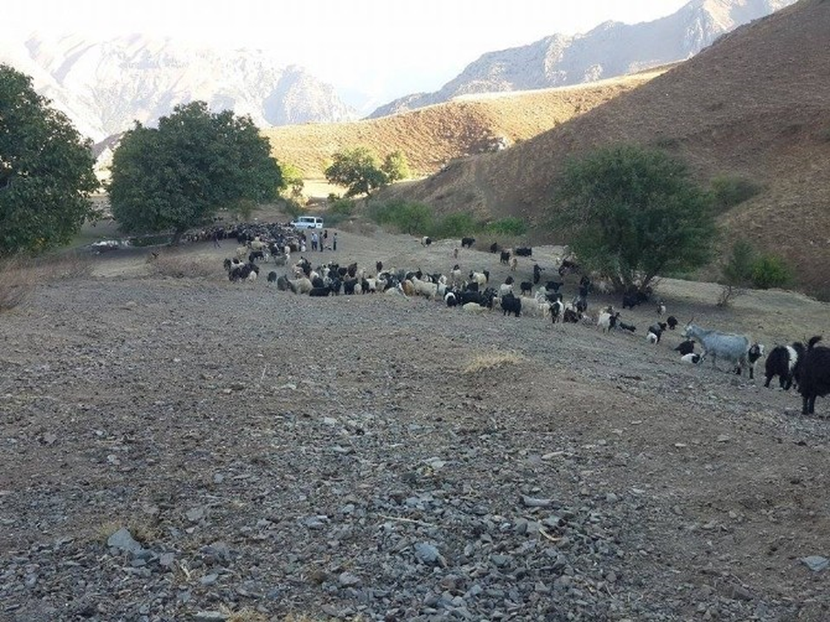 Yayla Sakinlerinin Geri Dönüşü Başladı