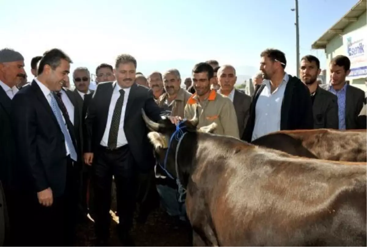 Başkan Ahbet Çakır, Hayvan Pazarı'nda İnceleme Yaptı