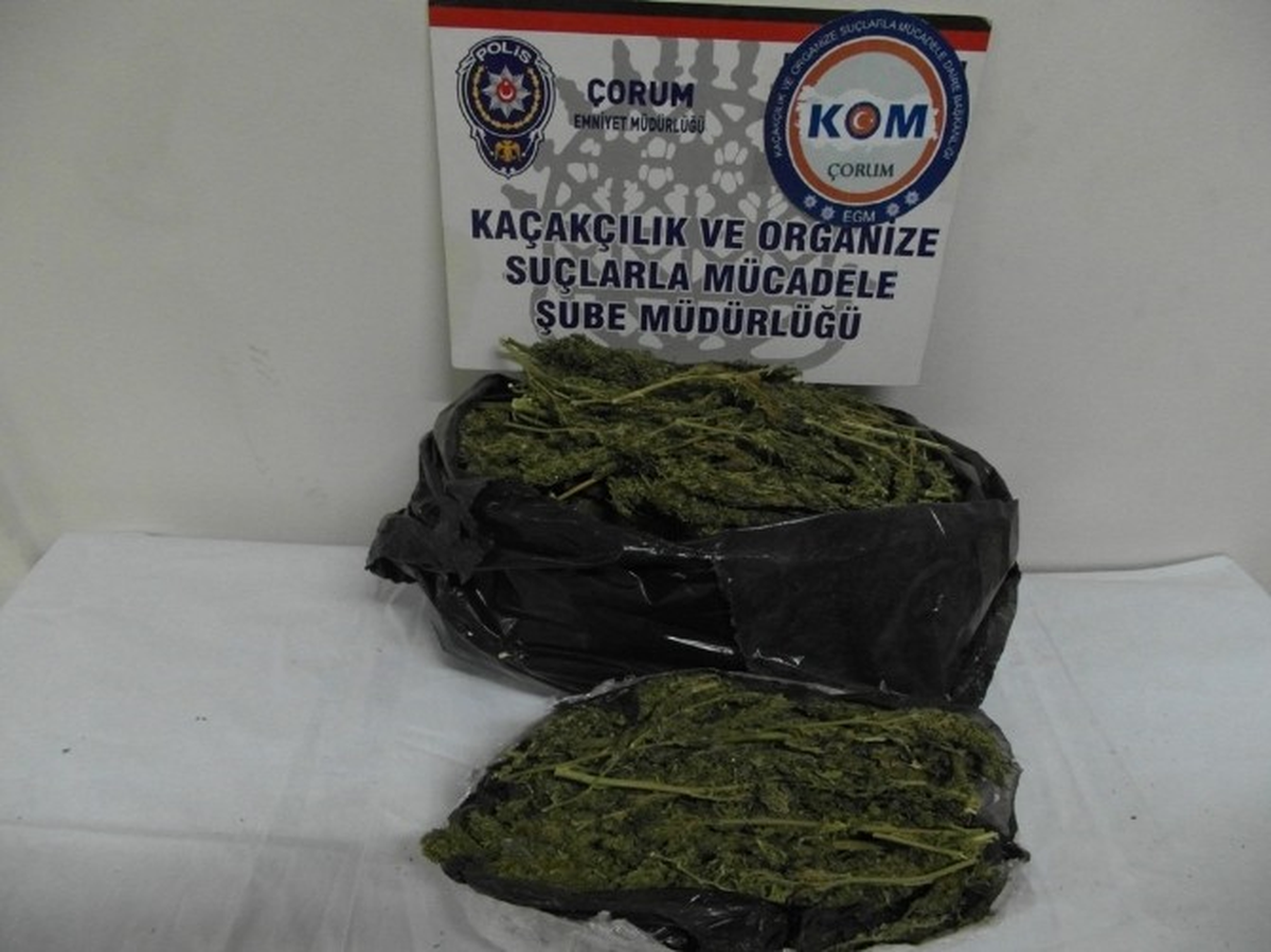 Çorum\'da 2 Kilo 73 Gram Esrar Ele Geçirildi