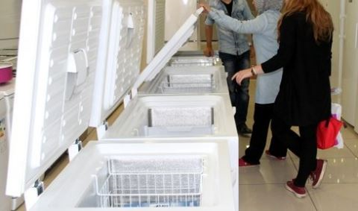Derin Dondurucu Satışları Arttı