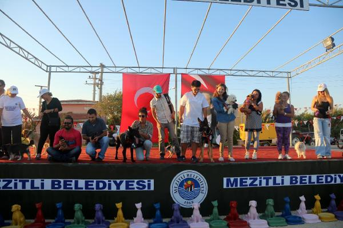 En Sempatik\' Köpek Yarışması