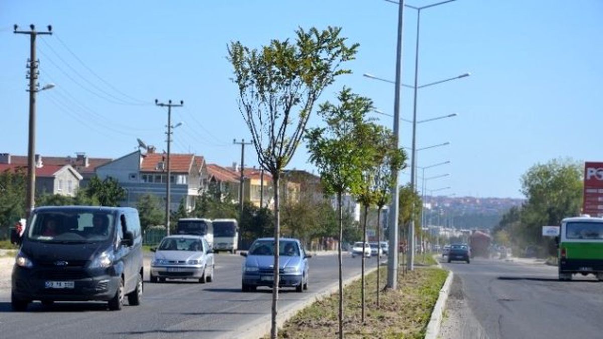 Ergene Belediyesi Ağaçlandırma Çalışmalarına Önem Veriyor