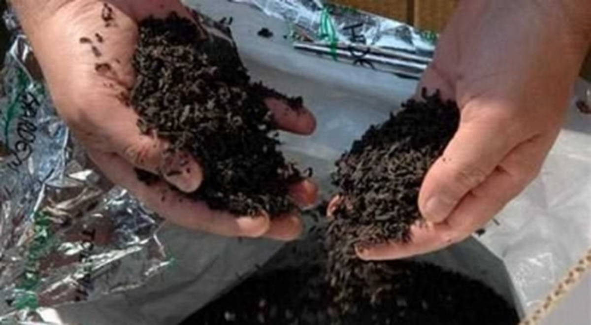 Gaziantep\'te 1 Ton Kaçak Çay Ele Geçirildi