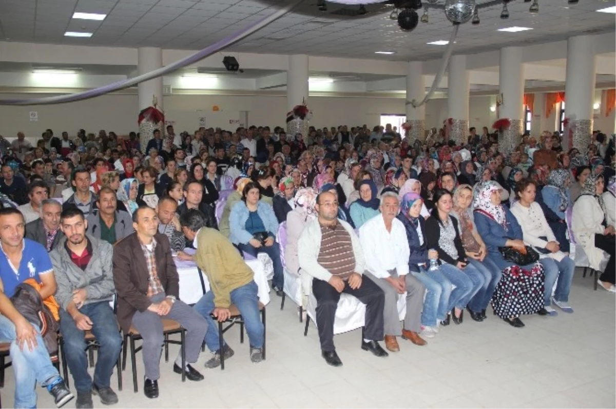 Giresun\'da Düşük Fındık Rekoltesi İşsizliği Arttırdı