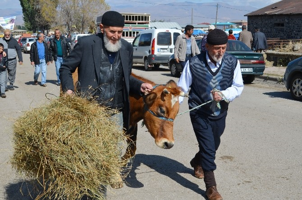 Kaçan Kurbanlıklar Sahiplerine Zor Anlar Yaşattı
