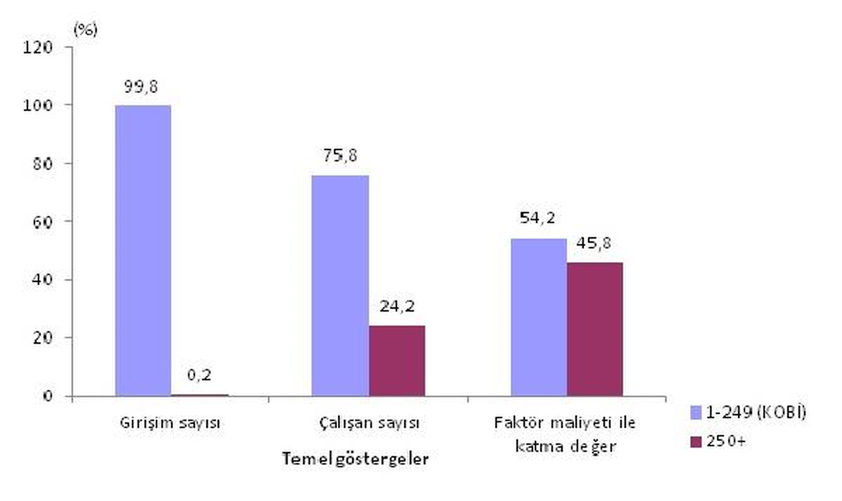 Kobi\'lerin İstihdamı Yüksek, Ücretleri Düşük Çıktı (2)
