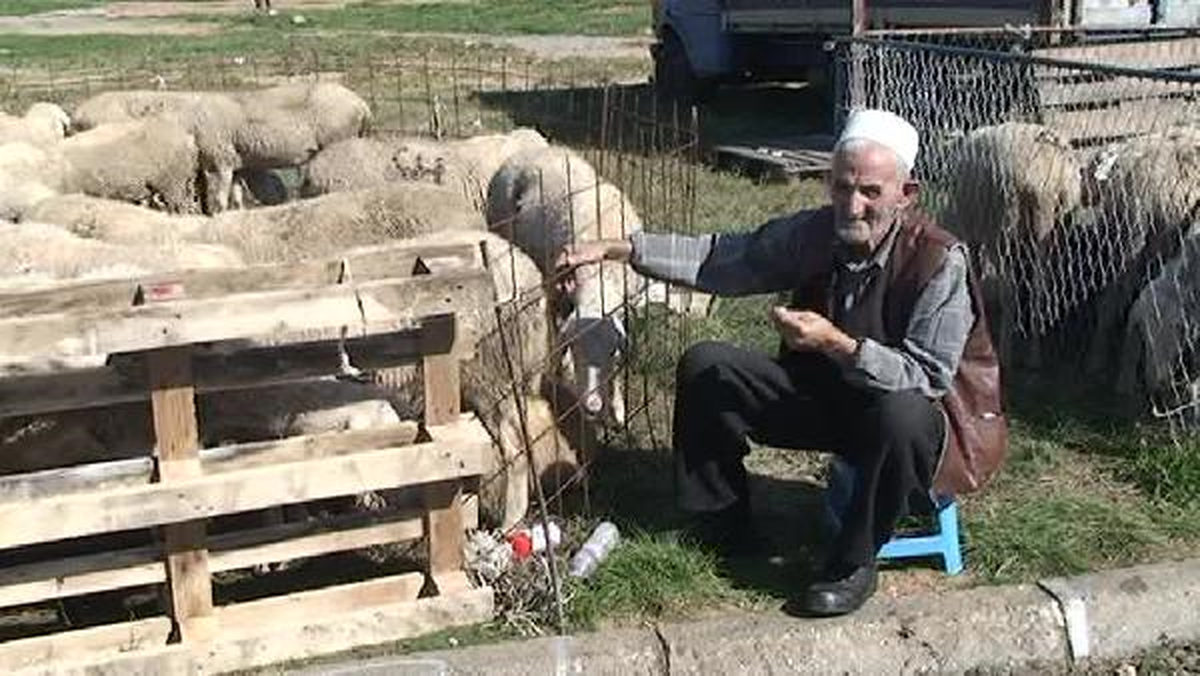 Kosova\'da Kurbanların Hasta Olduğuna Yönelik İddialar Kurban Pazarını Vurdu