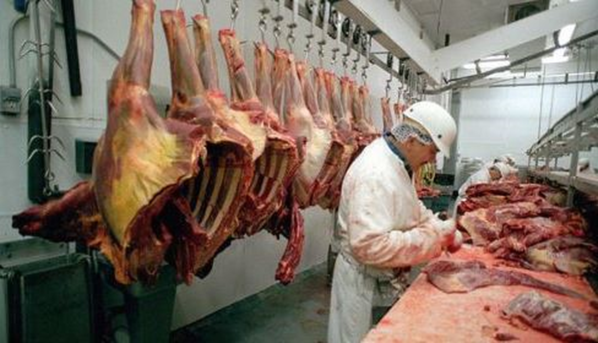 Kurban Bayramı Öncesi Kasaplar Uyarıldı