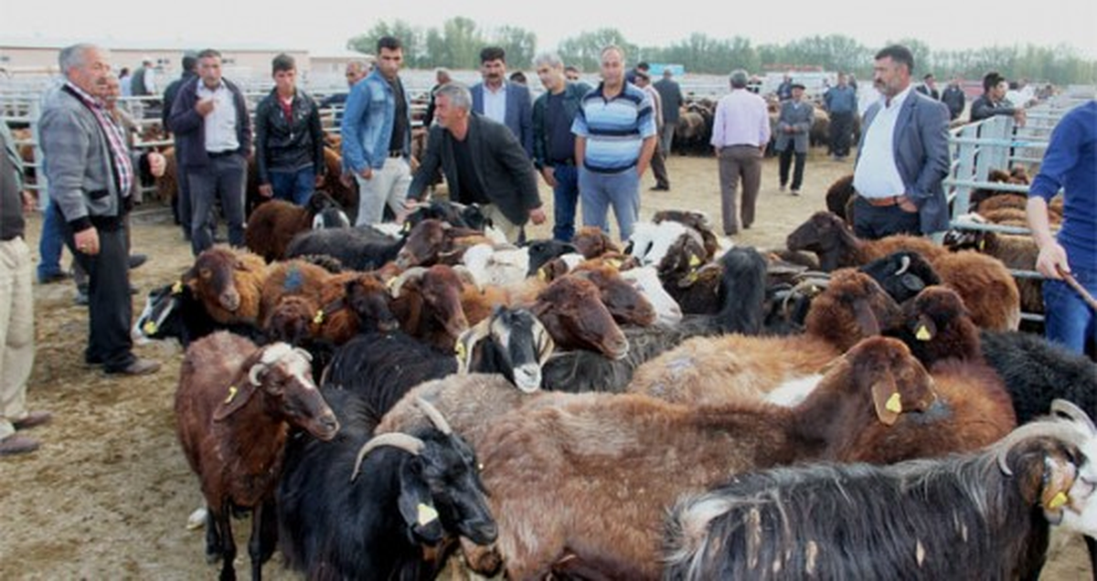 Seydişehir Hayvan Pazarında Kurban Hareketliliği