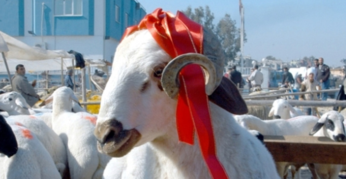 Bunu Yapmazsanız Kurbanınız Kabul Olmaz!