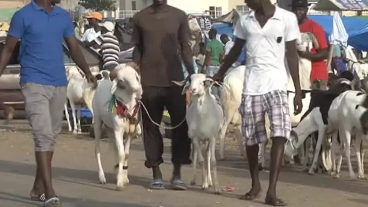 Senegal\'de Kurban Bayramı Hazırlıkları