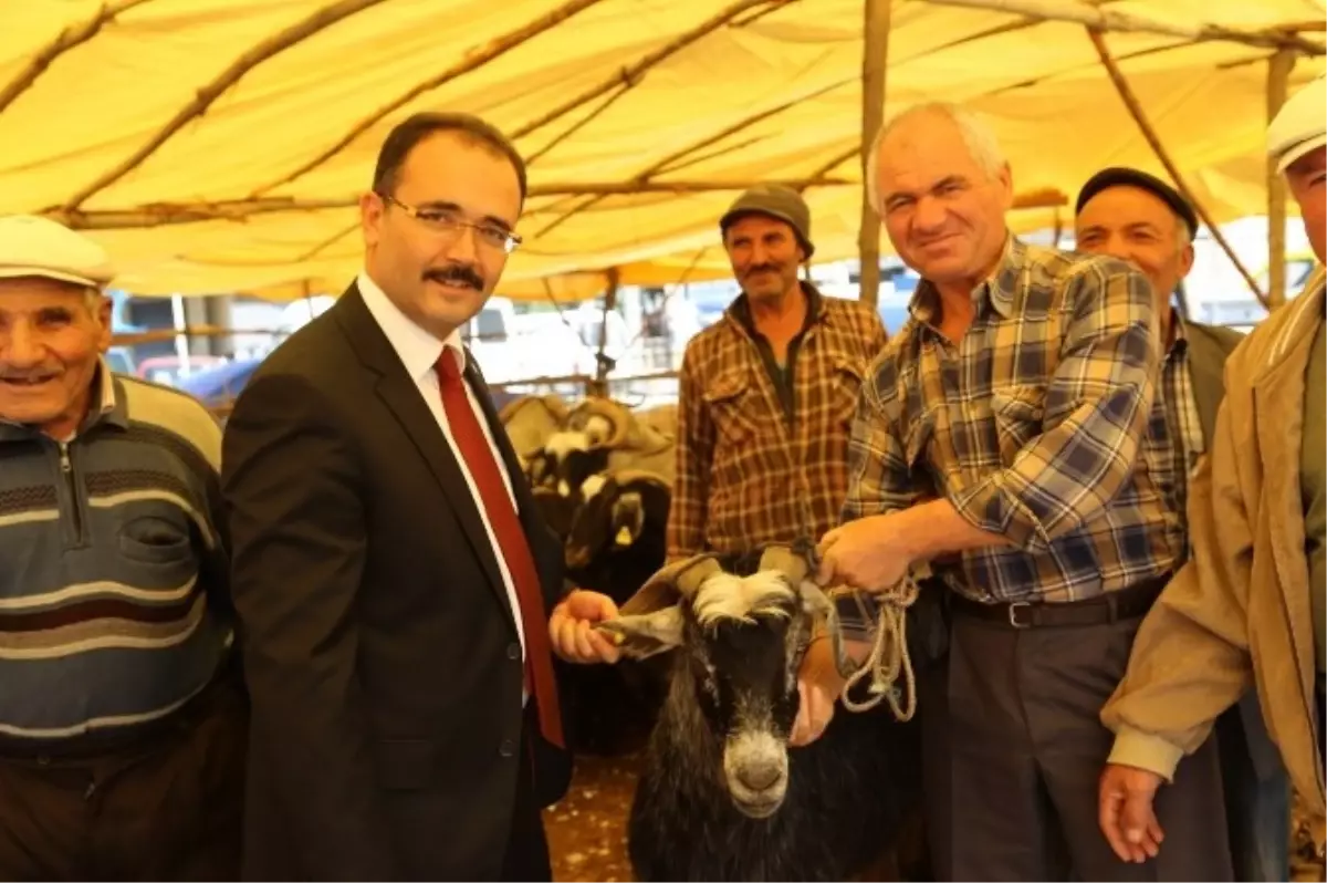 Uşak Belediyesi Kurban Bayramına Hazır