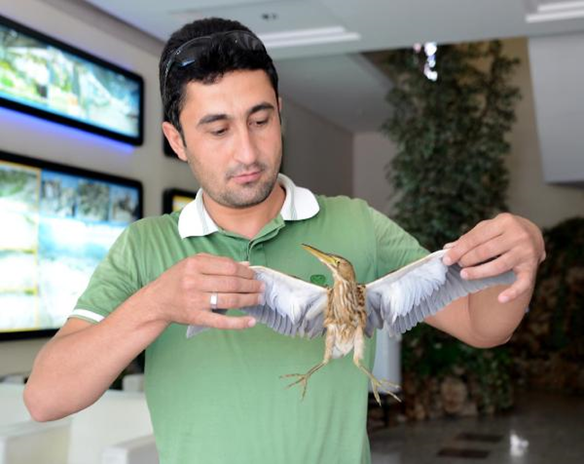 Yavru Hint Gölet Balıkçılı Korumaya Alındı