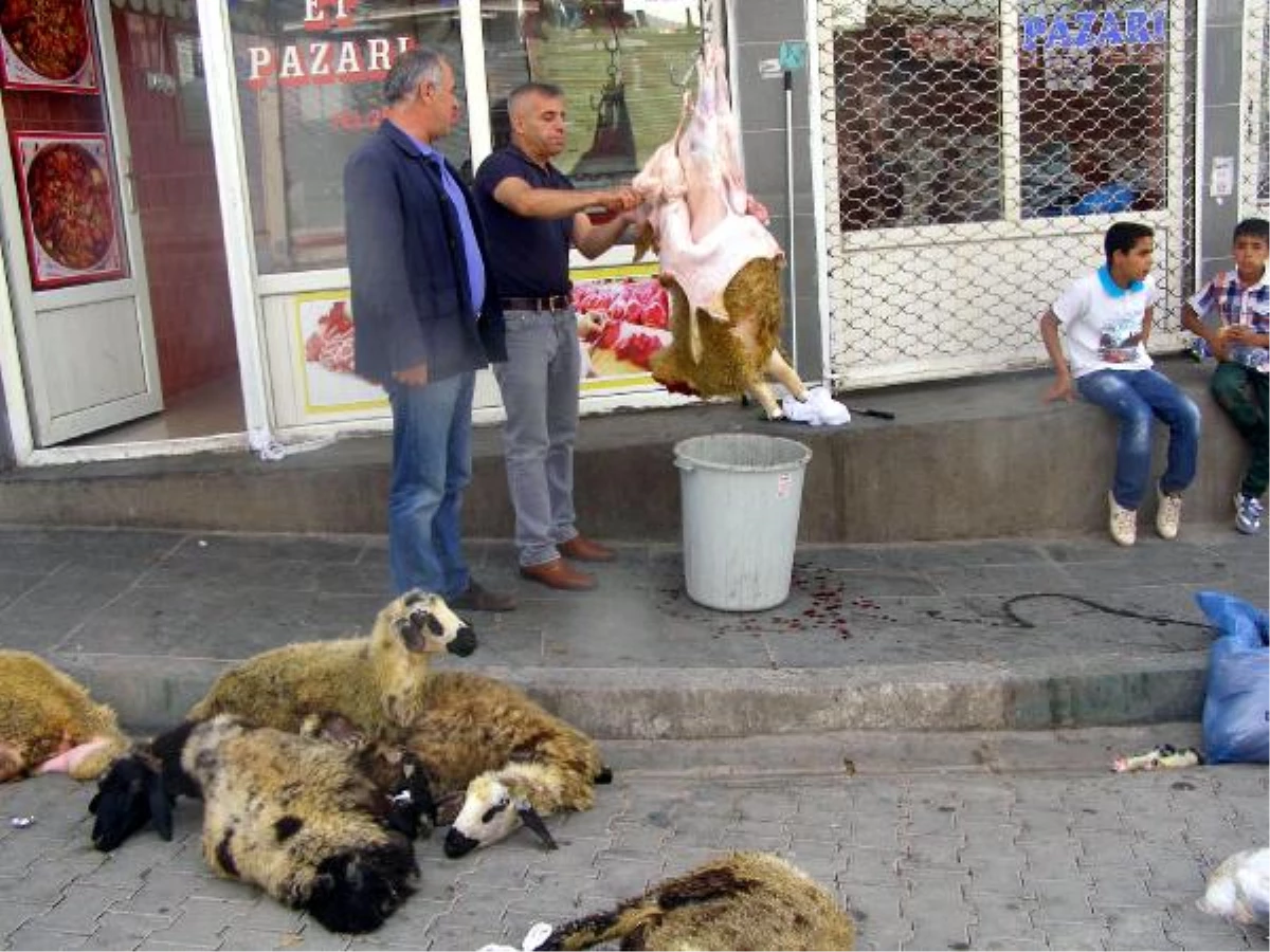 CHP\'li Ayaydın, Kestirdiği Kurbanı Ezidilere Verdi