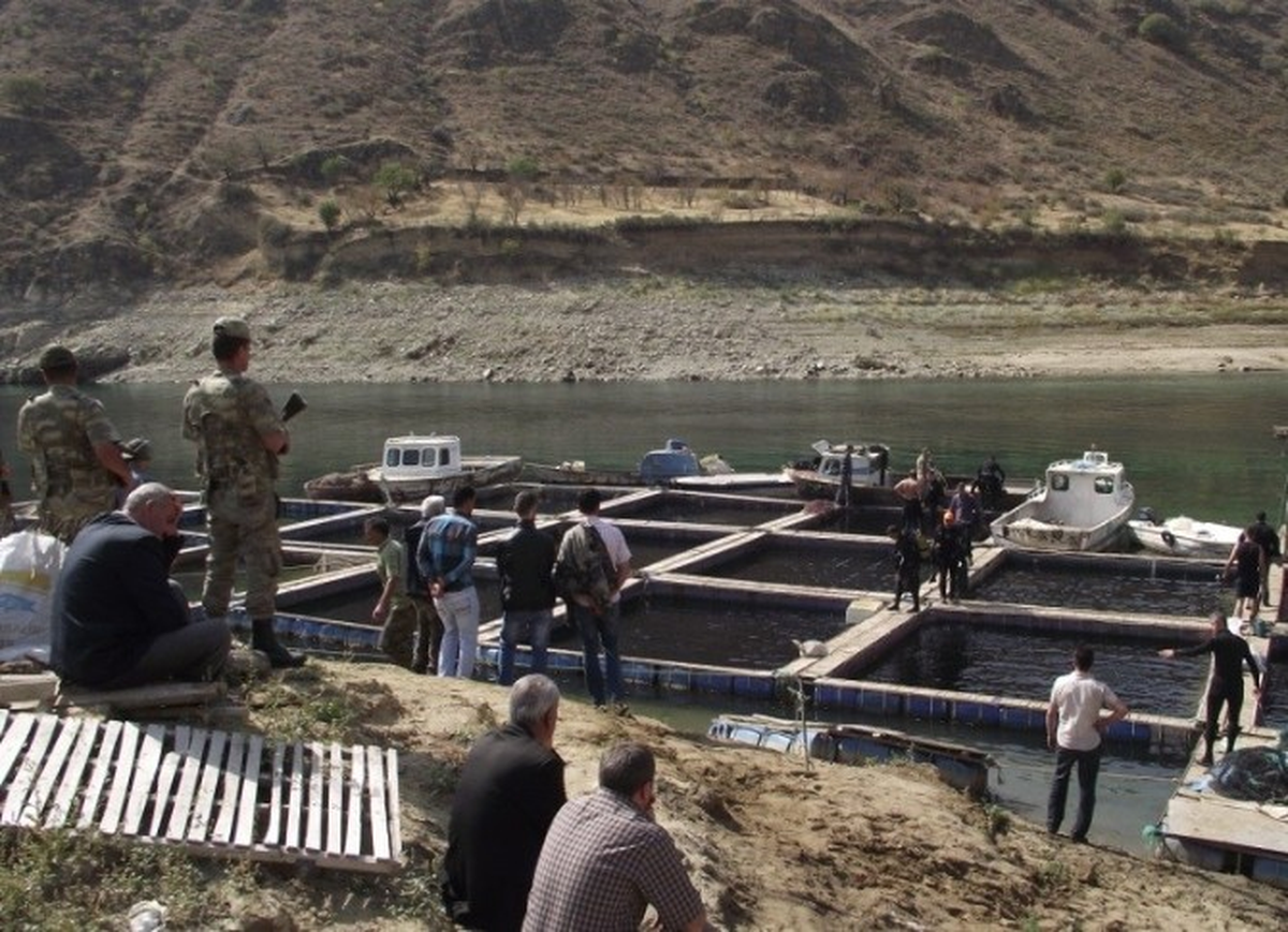 Elazığ\'da Fırat Nehri\'ne Düşen Bir Kişi Hayatını Kaybetti