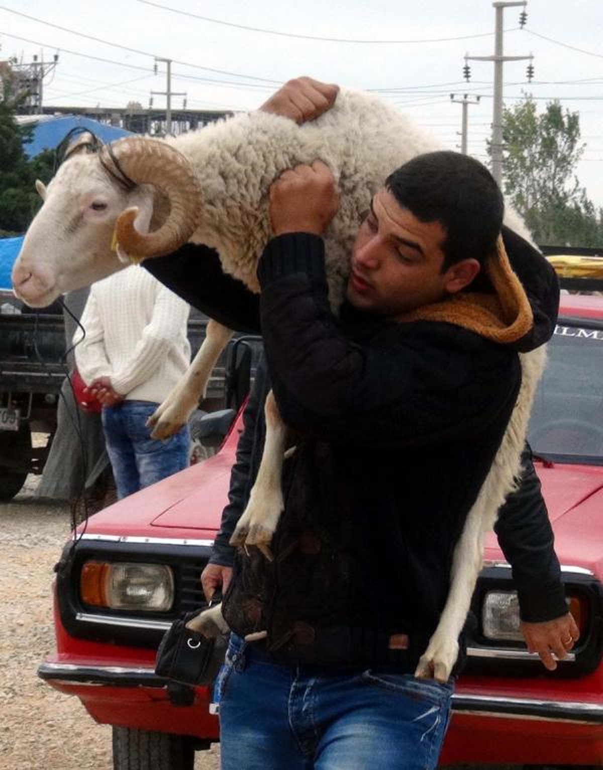 Kurban Satışları Besicileri Memnun Etmedi