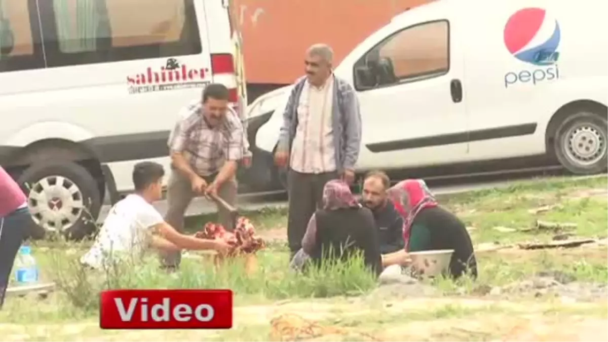 Yasak Alanda Kurban Kesip Kavurma Yediler