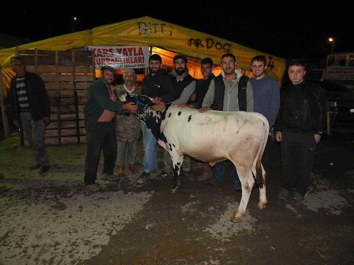 Körfez Kurban Pazarında Halay Keyfi