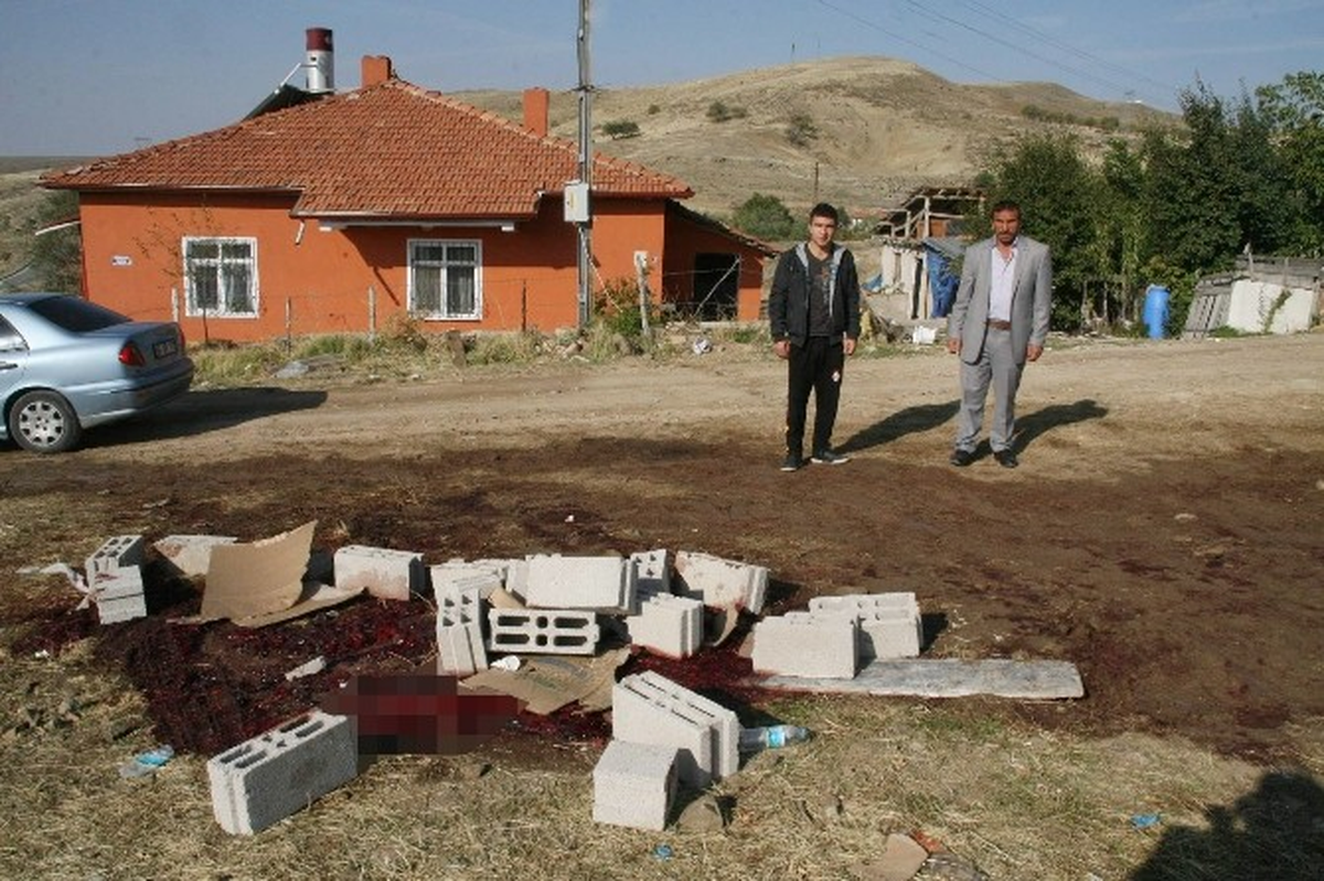 Yozgat\'ta Kurban Kesimi Bitti, Artıkları Kaldı