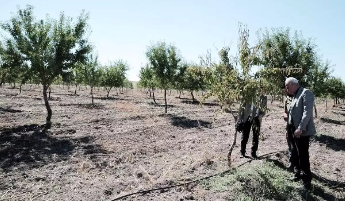 Yozgat\'ta Organik Tarım Çalışması