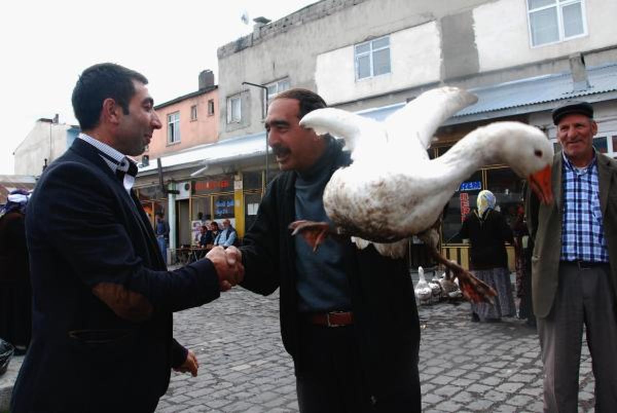 Kazda Sıkı Pazarlık