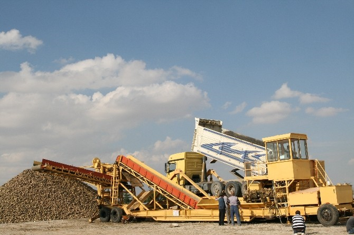 Kulu\'da Pancar Alımları Başladı