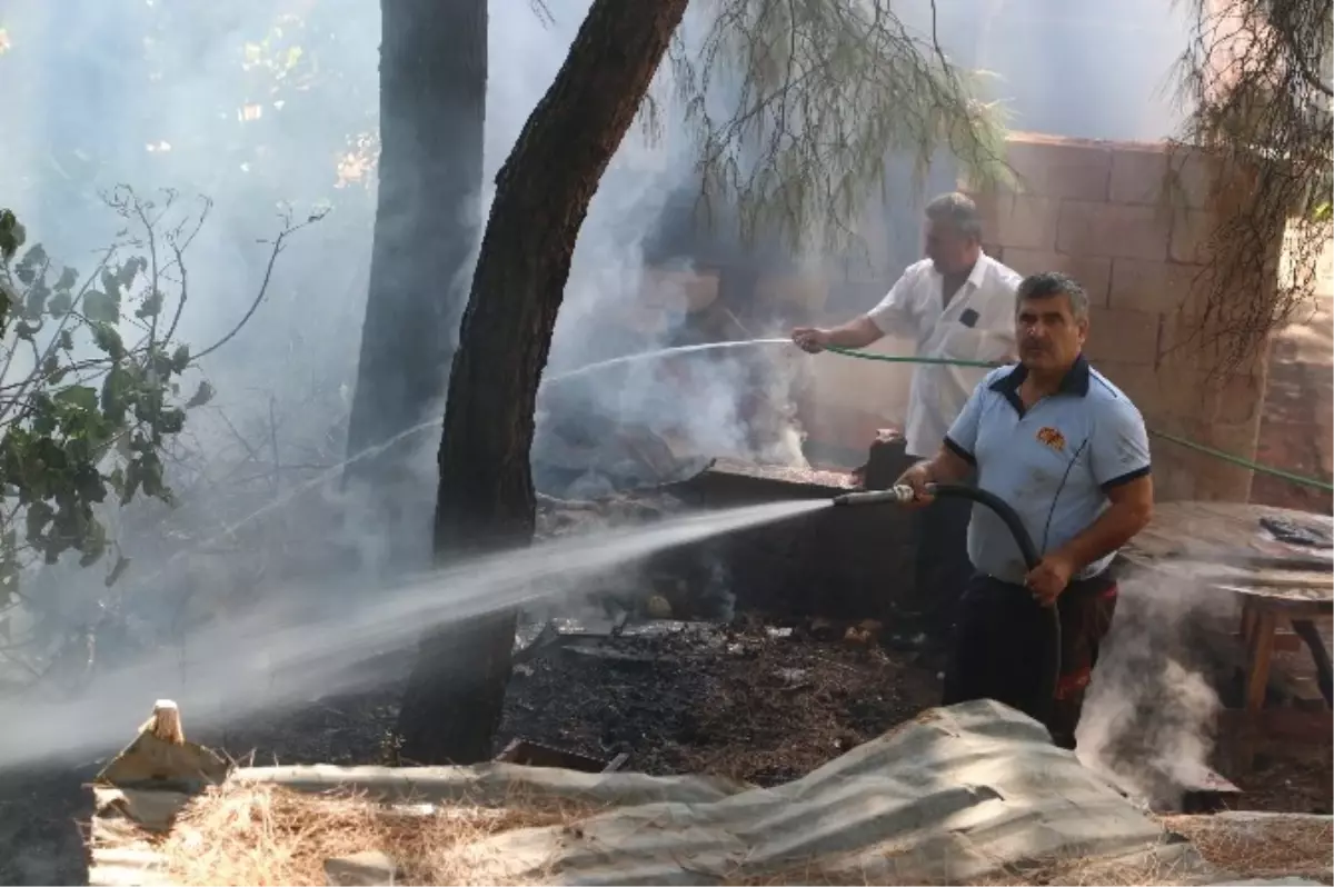 Marmaris\'te Otluk Yangını Büyümeden Söndürüldü