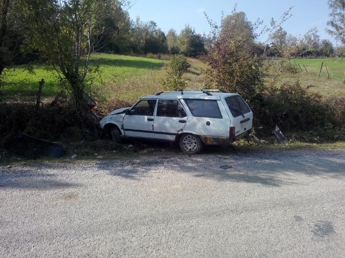 Virajı Alamadı Ağaca Çarptı: 4 Yaralı