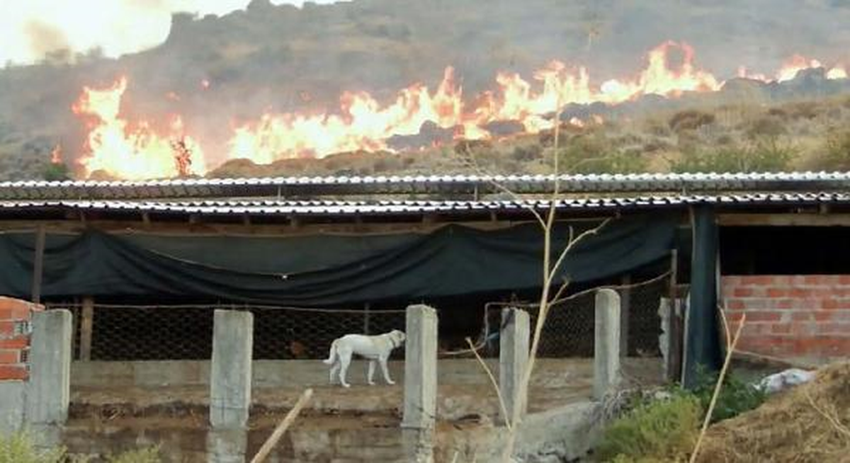 Dikili\'de Korkutan Ot Yangını