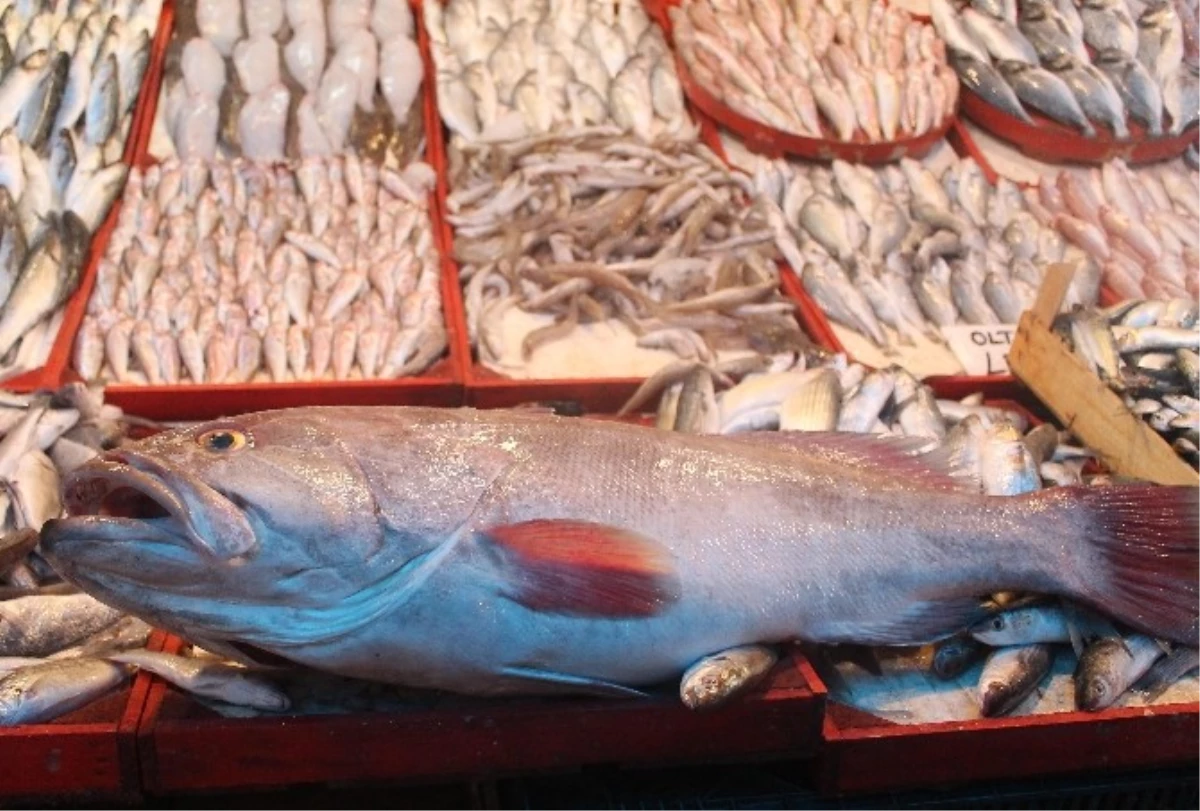 Kurban Bayramı\'ndan Sonra Balık Fiyatları Düştü