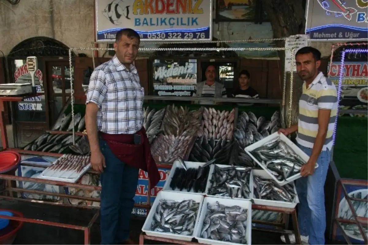 Kurban Eti Balık Satışlarını Düşürdü