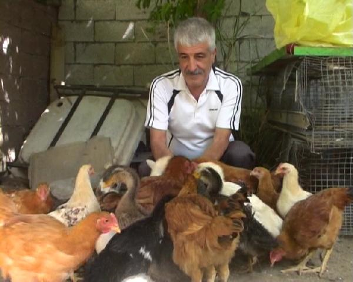 Aileye Özel \'Hayvanat Bahçesi\'